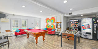 THE MODERN CACTUS Gallery 39