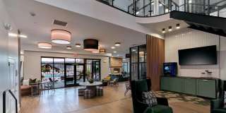 Summerhill Gallery 13