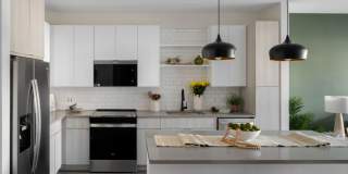 Alton Osprey Gallery 11