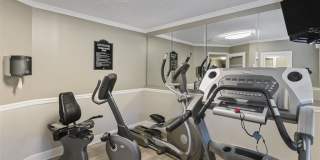 Stevens Walk Gallery 18