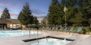 Bell Rohnert Park Gallery 21