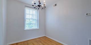 Sunny & Renovated 2BR 1BA in NW DC McLean Gardens Oasis! Gallery 11