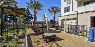 Vineyards Gallery 98