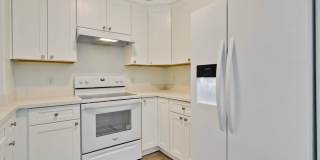 Excellent 2 Bed 2 Bath Condo - Completely Remodeled! Gallery 16