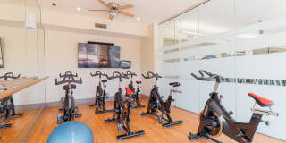 Domain at Kirby Gallery 54