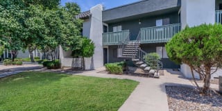 Treehouse Apartments Gallery 46