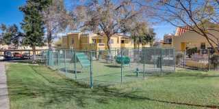 Alterra Apartments Gallery 31