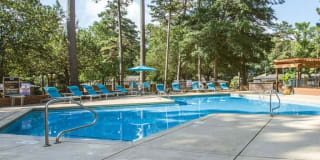 The Timbers The Timbers Gallery 20