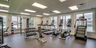 White Oak Luxury Apartments Gallery 7