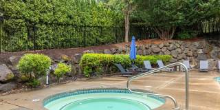 Summerlinn Gallery 4