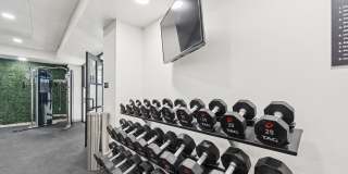 The Ainsley Gallery 22