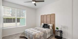 The Village at Town Center Gallery 50