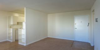 Swift at Riverdale Park Gallery 16