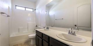 716 CALAMUS PALM Place Gallery 17