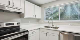 The Commons Gallery 7