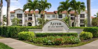Aster at Lely Resort Gallery 28