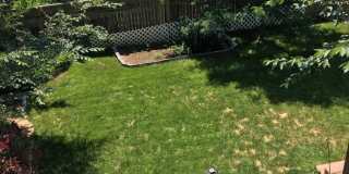 Adorable 2 bed/2 bath home in Southwest Longmont! Gallery 5