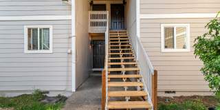 12180SW Calico Gallery 3