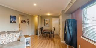 48 Pointe Cir S Gallery 6