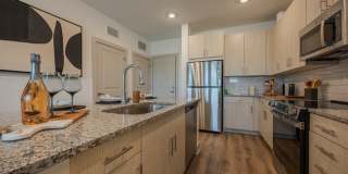 Madison Palms Gallery 25