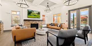 Sonoma Palms Gallery 12