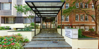 The Palisades Gallery 13
