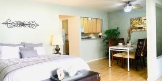 BEAUTIFUL CONDO! 2 MINUTE WALK TO CAMPUS! FREE RENT UNTIL MAY 1, 2026!! Gallery 1