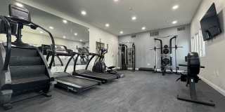 The Tradition Gallery 20