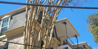 2805 Northeast Expressway Gallery 1