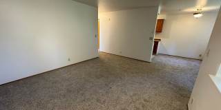 Brighton North Gallery 13