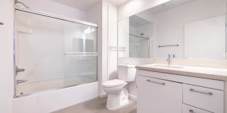 Sakura Crossing Gallery 34