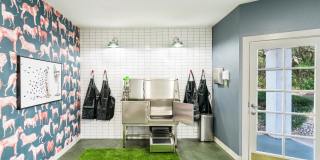 Alister Sunset Valley Gallery 26