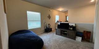 2434 Dry Moss Gallery 36