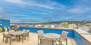 Dexter Lake Union Gallery 52