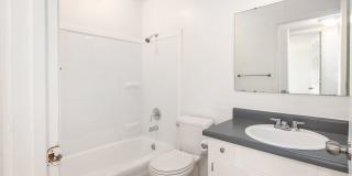 The Chestnut Gallery 11