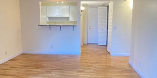 Plenty of Light in an Urban Oasis Gallery 4
