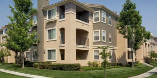 Avalon Willow Glen Avalon Willow Glen Gallery 24