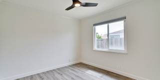 Rare 2 Bed 1 Bath Home with Huge Private Backyard Gallery 20