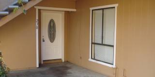 Coming Soon! Gallery 1