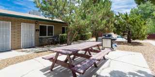 146 S Rush Street unit: A Gallery 1