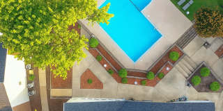 Creekside Canopy Gallery 12