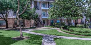 Westchase Forest Gallery 34