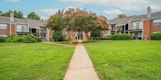 The Park at Midtown Gallery 15