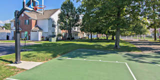 Albany Woods Gallery 16