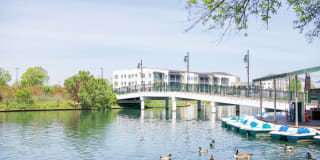 Novel University Place Gallery 33