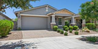 Beautiful newer-build home located in the highly desirable East Mesa area in Eastmark. - 55+ Community Gallery 1