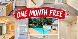 2514-203 Avent Ferry Rd, Raleigh, NC 27606 Gallery 1