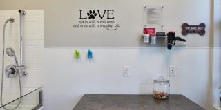 The Tannery Gallery 39