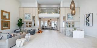 Illumina at Gulf Coast Town Center Gallery 16