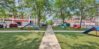 Austin Springs Gallery 20